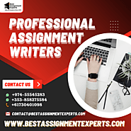 Professional Assignment Writers