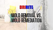 Mold Remediation vs Mold Removal: Differences & When to do it.