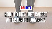 How to Dry Wet Carpet After Water Damage? Things Do and Tips