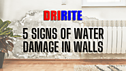 5 Signs of Water Damage in Walls | Water Damage Signs [2022 Updated]