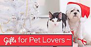 Best Gifts for Pet Lovers in Your Life (Gift Ideas) • iPetsKC