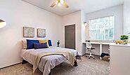 Book Student Accommodation Tampa with best Facilities