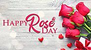 Rose Day 2022: Know the meaning of different colors of roses