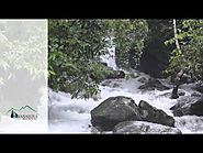 A beautiful waterfall in Banasura Hill Resort, Wayanad
