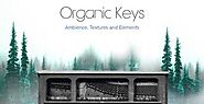 Production Master - Organic Keys