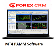 MT4 PAMM Software