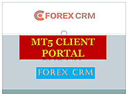 Mt5 client portal