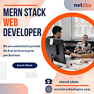 Hire The Best Mern Stack Web Developer From Netzila