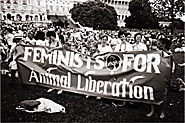 The Master’s Tools Will Never Dismantle The Master’s Rape Rack: Feminism and Animal Rights