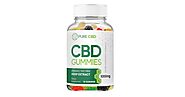 Pure CBD Gummies Reviews [Shark Tank Episode]: Does It Work on Tinnitus and Anxiety? | iExponet