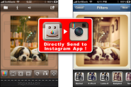 Essential Instagram Tools & Tips by...