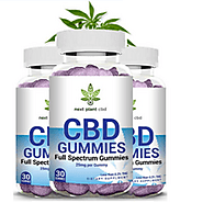 Next Plant CBD Gummies - Home