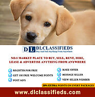 Buy or Sell Pets in Nagercoil