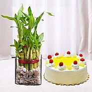 3 layer lucky bamboo plant with 1 pound Pineapple cool cake