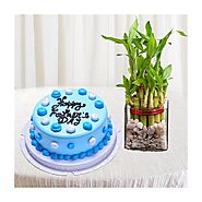 Half kg blueberry premium quality cake with 2 layer lucky bamboo