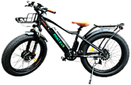 Order Attitude 2×2 1250 Watt Fat Tire Electric Bike | Phat-eGo