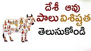 Benefits Of Desi Cow Milk | Desi Cow Ghee Benefits | Desi దేశీ ఆవు పాలు విశిష్టత తెలుసుకోండి