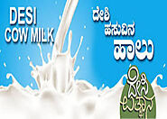 Desi Cow Milk, Pride Of Cow Milk, गाये का ताज़ा दूध in Bengaluru , Desi Utthana Organics | ID: 13417630362