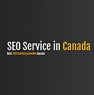 Local SEO Services in Toronto