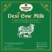 Desi Cow Milk Vs Jersey Cow Milk: Quantity And Quality Rating - Justagric