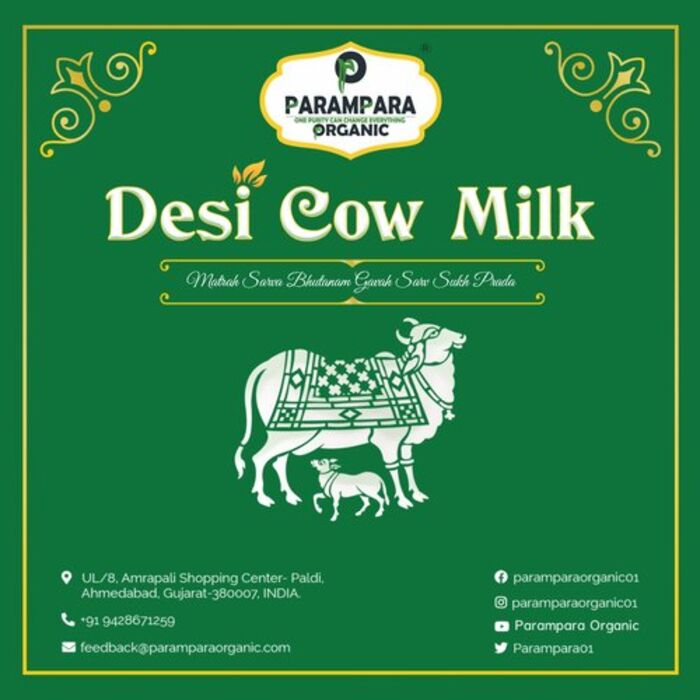 Desi Cow Vs Jersey Cow A Listly List