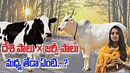 Desi Cow vs Jersey Cow || Dr Sarala about Difference between A1 & A2 Milk || SumanTV Organic Foods