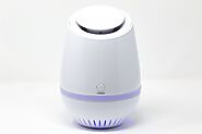 Air purifier for allergies