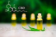 In-depth Articles about Organic CBD Products | Groovy Hemp Company