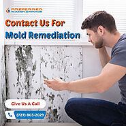 Rely on Water Damage Mitigation and Mold Remediation in Tampa Bay!