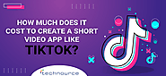 Tiktok app development cost