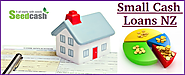 Provide Complete Detail on Small Cash Loans NZ