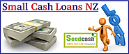Small Cash Loans in NZ: Gain Its Instant Benefits