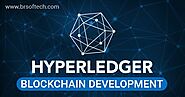 Hyperledger Blockchain Development Company India, USA
