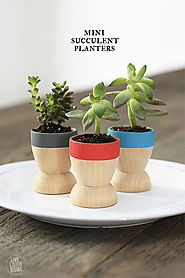 Mini Succulent Planters - livelaughrowe.com