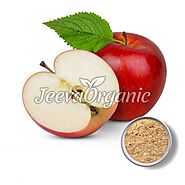 Organic Apple Powder Supplier in Bulk | Bulk Apple Powder