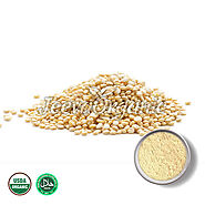 Organic Quinoa Powder Suppliers | Bulk Organic Quinoa Powder Supplier