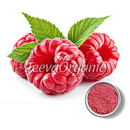 Red Raspberry Leaf Powder Supplier | Bulk Red Raspberry Leaf Powder