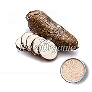 Top Yuca Root Powder Suppliers | Bulk Yuca Root Powder Supplier