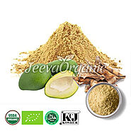 Bulk Organic Mango Powder Suppliers | Bulk Organic Mango Powder