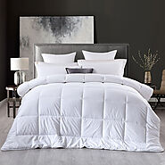 King Size Quilt, Duvet Buy Now Online with Afterpay - Shopy Store