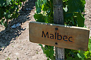 Malbec: Exploring Yarra Valley's Wine Heritage - Chauffeur Drive, Melbourne, Yarra Valley