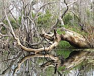 Lake Awoonga