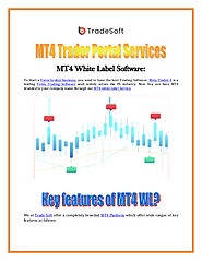 MT4 Trader Portal Services