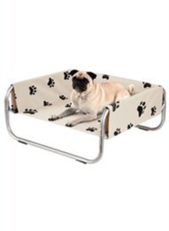 Best Raised Indoor and Outdoor Dog Beds 2015 A Listly List