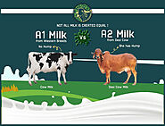 What is Difference between A1 & A2 Milk - GirOrganic