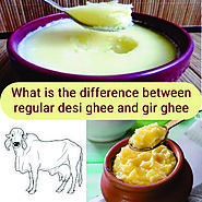 What is the difference between regular desi ghee and A2 Ghee? – Navmi