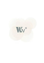 Website at https://whitewings.in/