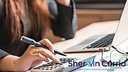 What Does an Accountant do for a Small Business? : sherwincurrid