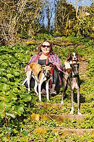 Pet rescue: Three women with their own dog-walking businesses