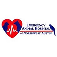 Veterinarian Brieana Tunison Joins Emergency Animal Hospital of Northwest Austin